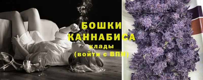 что такое   Стрежевой  Шишки марихуана OG Kush 